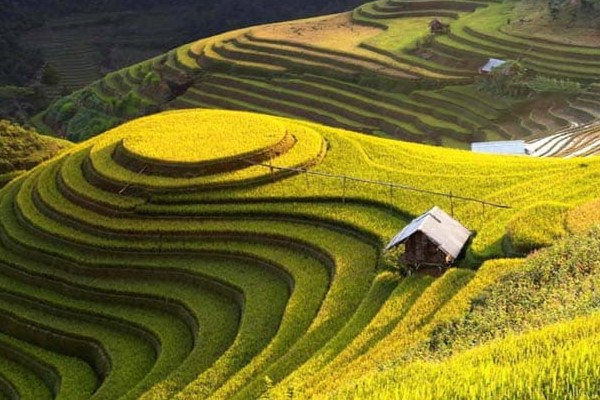 HÀ GIANG - CAO NGUYÊN ĐÁ ĐỒNG VĂN - DU GIÀ